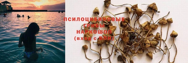 прущие крисы Ладушкин