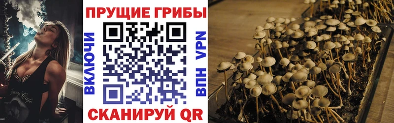 Псилоцибиновые грибы GOLDEN TEACHER  Черепаново 